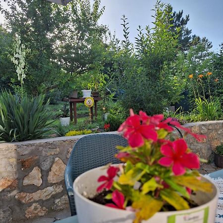 Villa Ella Ohri Dış mekan fotoğraf