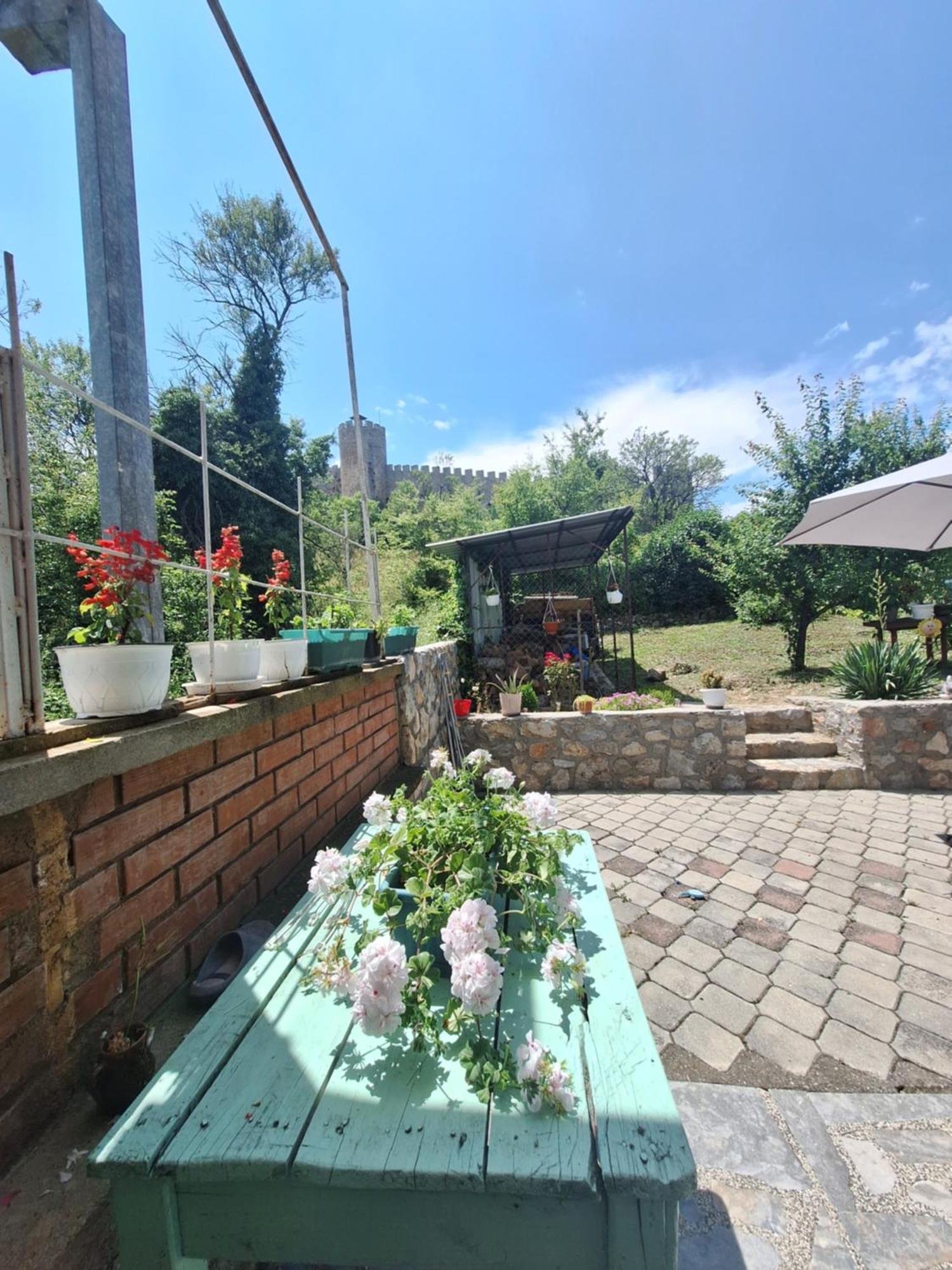 Villa Ella Ohri Dış mekan fotoğraf